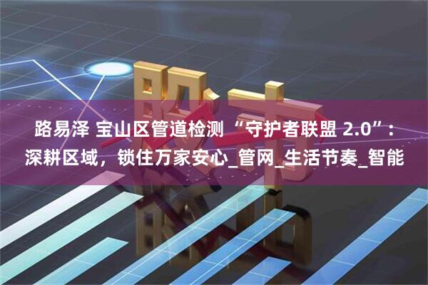 路易泽 宝山区管道检测 “守护者联盟 2.0”：深耕区域，锁住万家安心_管网_生活节奏_智能