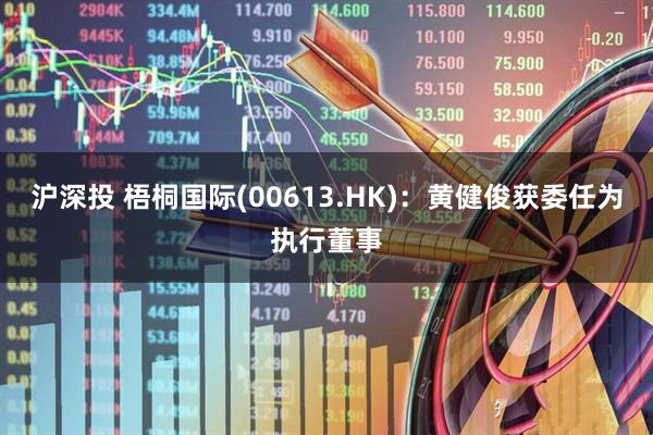 沪深投 梧桐国际(00613.HK)：黄健俊获委任为执行董事