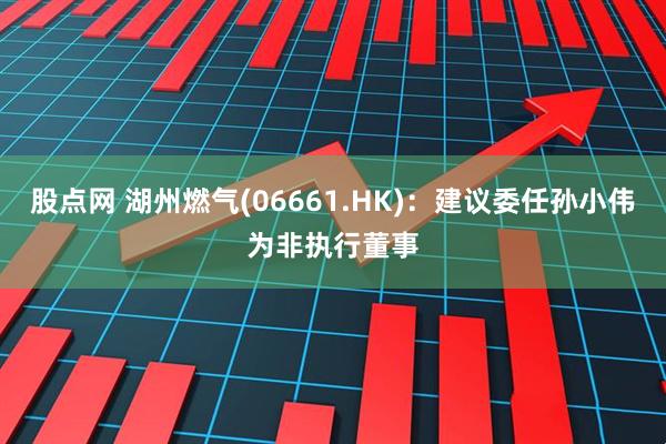 股点网 湖州燃气(06661.HK)：建议委任孙小伟为非执行董事