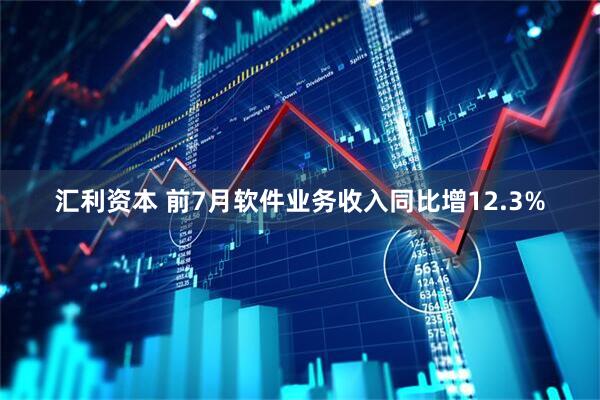 汇利资本 前7月软件业务收入同比增12.3%