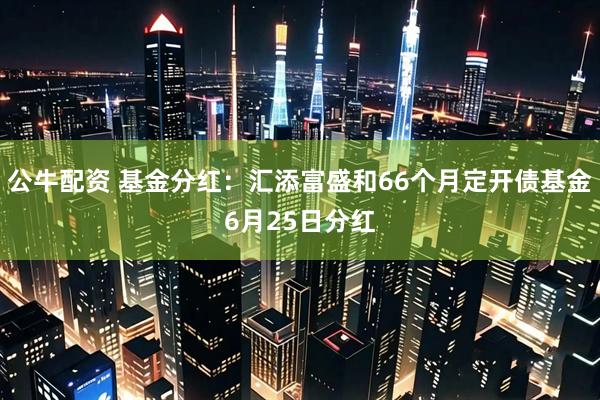 公牛配资 基金分红：汇添富盛和66个月定开债基金6月25日分红